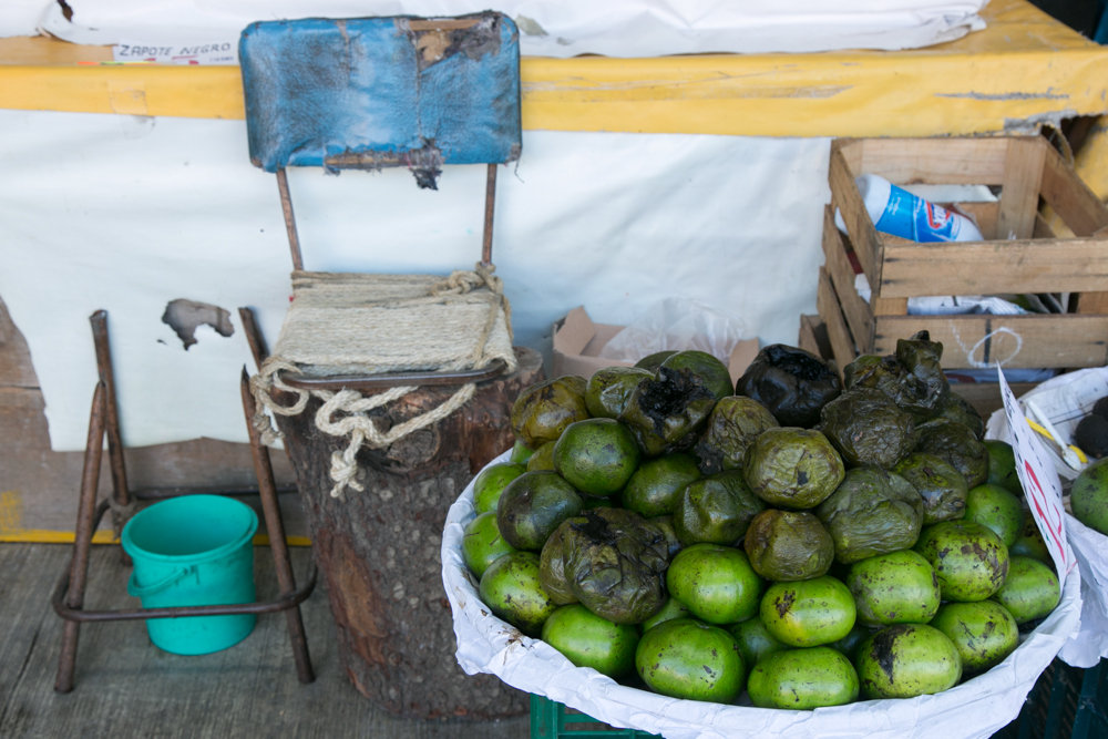 Sapote Negro – My Favorite Exotic Fruit in Mexico