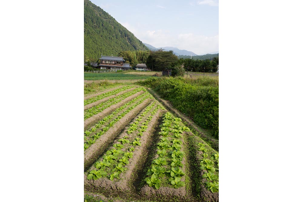 Ohara Farmers Market – The Organic Hub of Kyoto