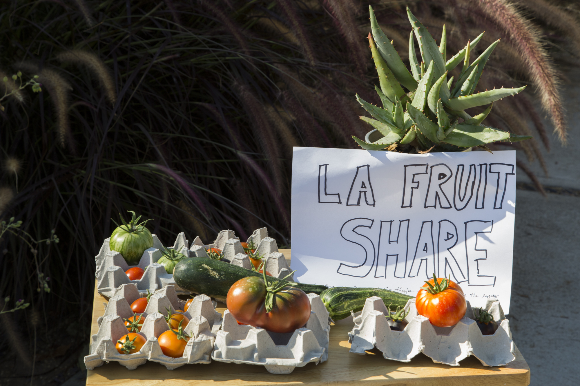 LA Fruit Share 2020